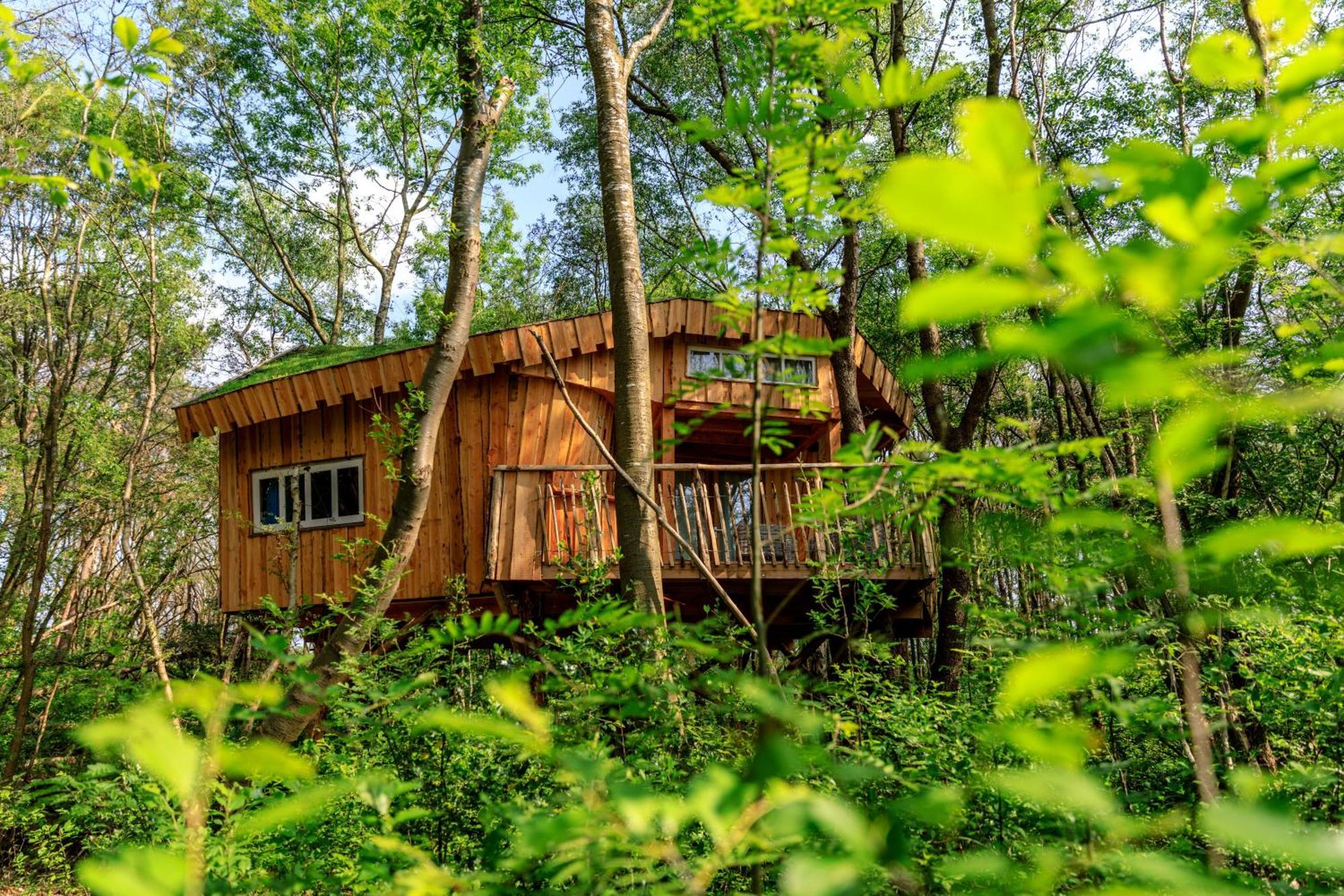 Camping De Reeenwissel Hoogersmilde Exterior photo
